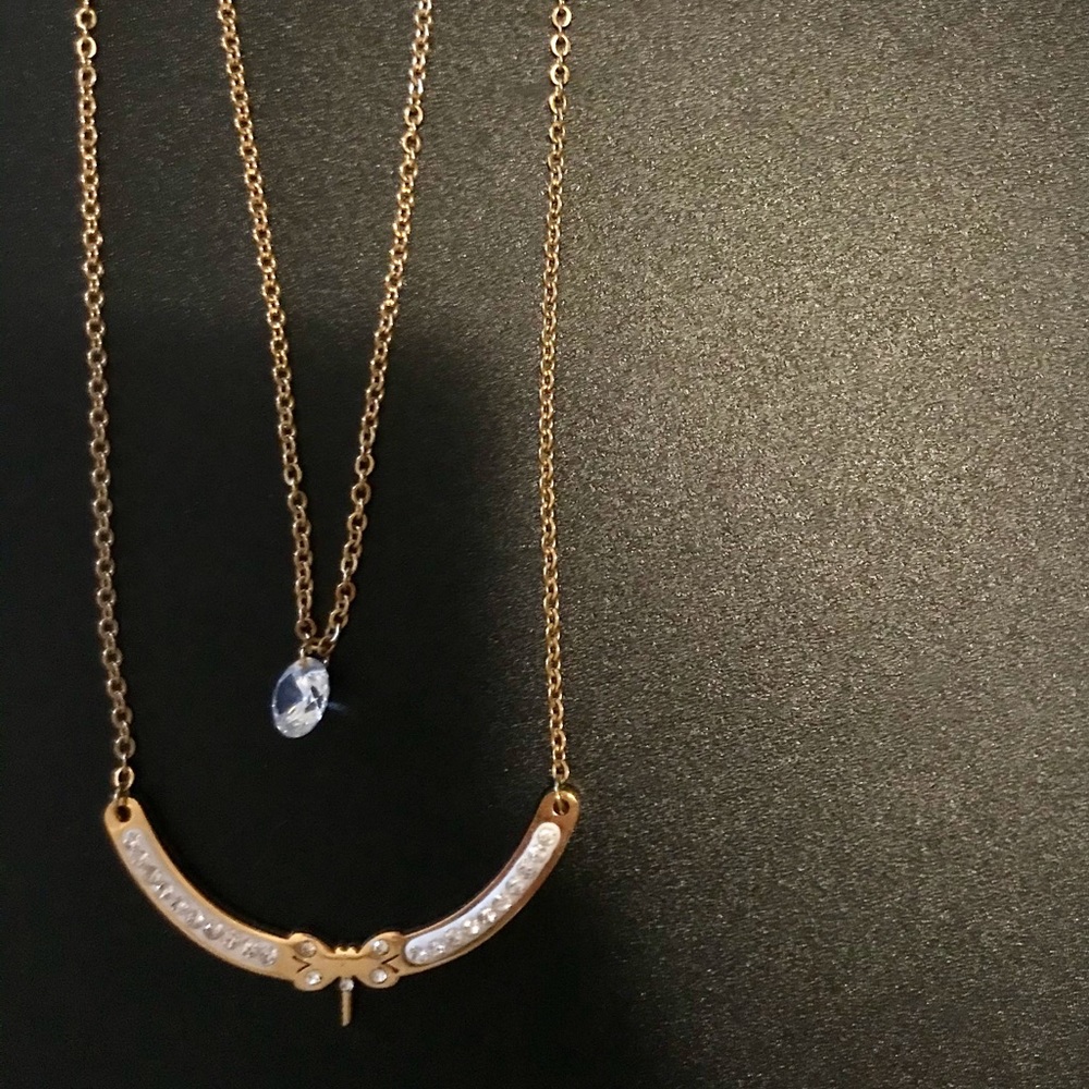 Dragonfly necklace with earrings